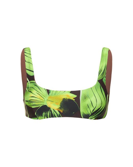 Louisa Ballou Green Scoop Printed Bikini Top