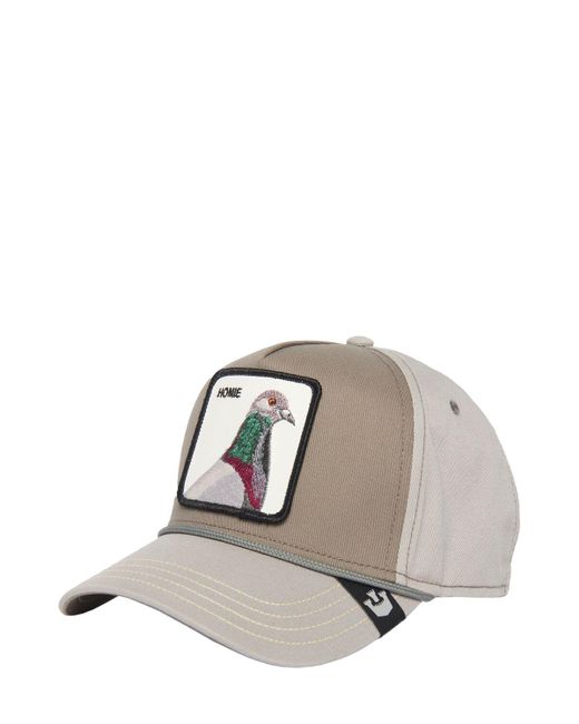Cappello baseball pigeon 100 di Goorin Bros in Multicolor da Uomo