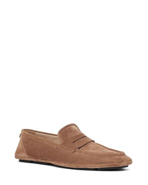 Dolce & Gabbana Brown Dg Driver Suede Loafers for men