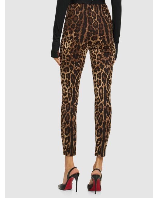Dolce & Gabbana Brown Leggings Aus Jersey Mit Leopardendruck