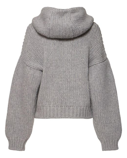 Sportmax Epica Chunky Knit Zip Cardigan W/ Hood in Grey