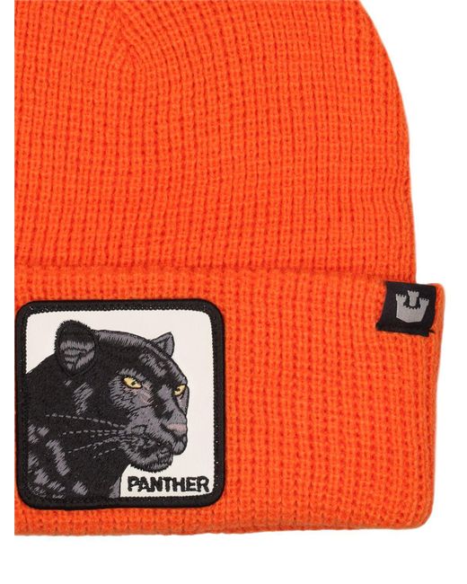 Goorin Bros Orange Panter Vision Knit Beanie for men