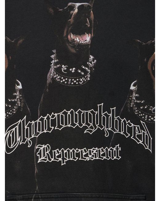 Represent Hoodie "thoroughbred" in Black für Herren