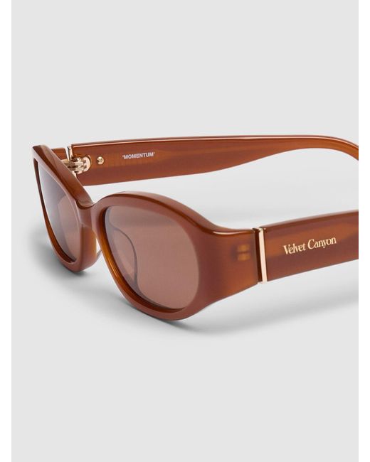 Velvet Canyon Brown Motum Round Acetate Sunglasses
