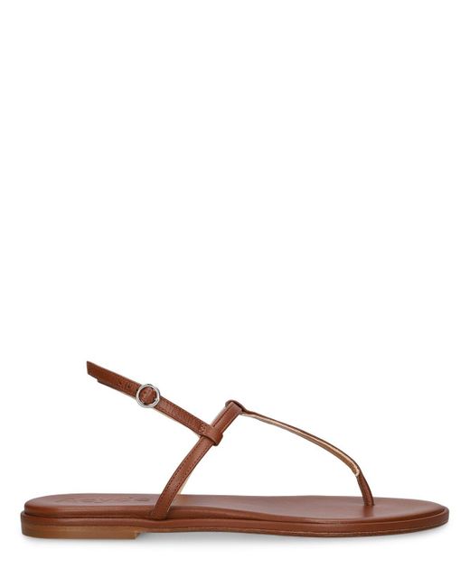 Aeyde Brown 10mm Nala Nappa Leather Flat Sandals