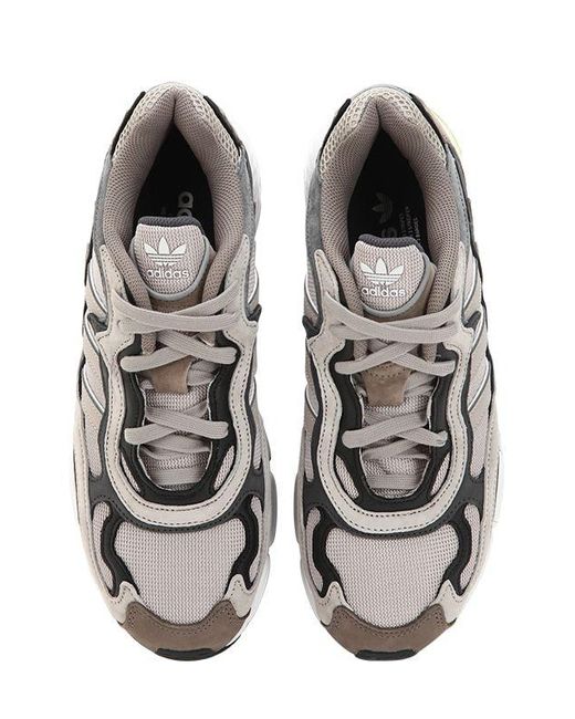 adidas mallas color