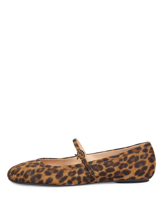 Ballerine carla in camoscio 5mm di Gianvito Rossi in Brown