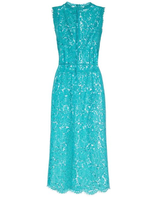 Dolce & Gabbana Blue Floral & Dg Stretch Lace Midi Dress