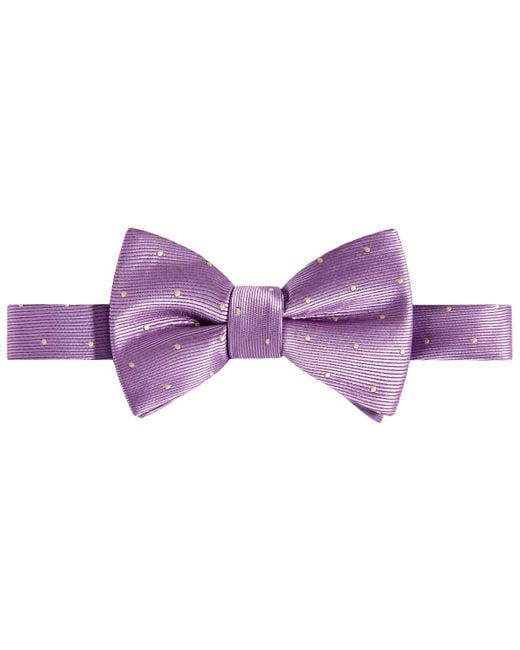 Tayion Collection Purple & Gold Solid Bow Tie for men