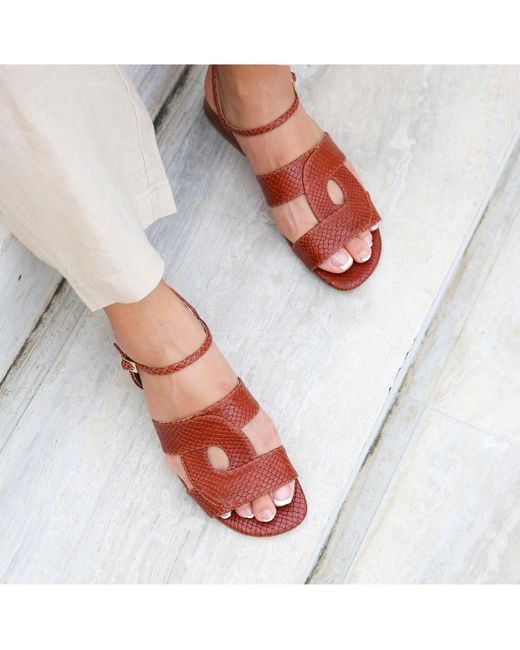 Alterre Brown Amal Customizable Sandal
