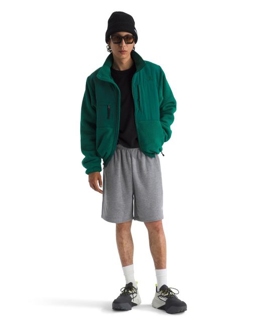The North Face Gray Evolution Simple Dome Shorts for men