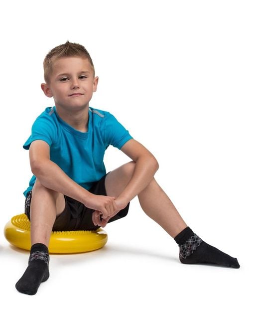 Bintiva Blue Balance Disc