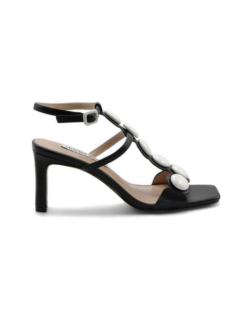 Charles David Black Davos