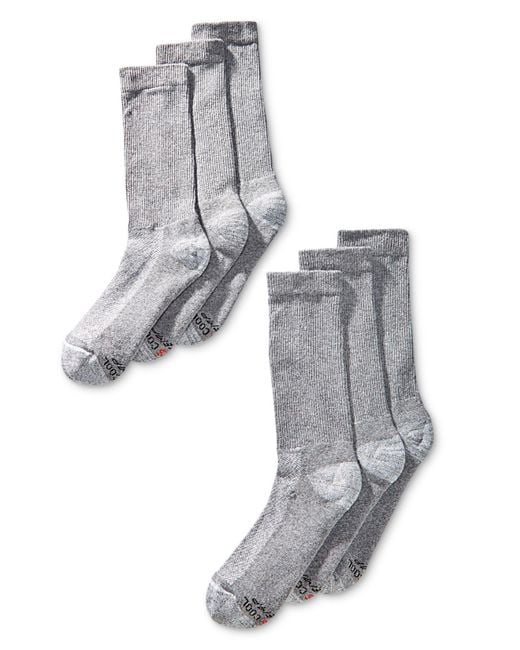 Hanes Gray 6-pk. X-temp Crew Socks for men