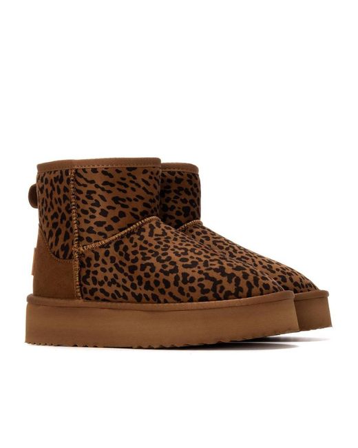 Xti Brown Winter Suede Booties By