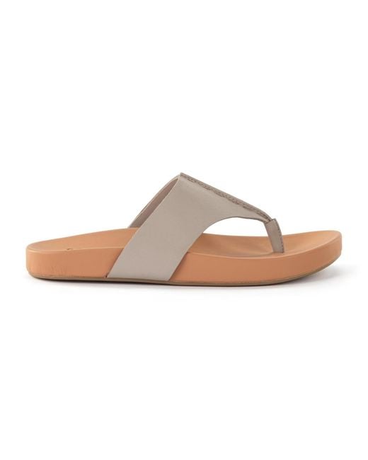 The Sak Multicolor Everly Al