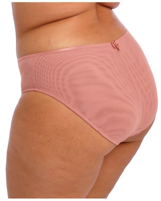 Elomi Multicolor Plus Size Teagan High Leg Brief Underwear
