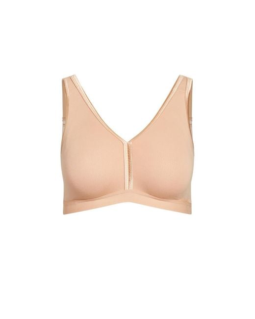 Avenue Natural Basic Cotton Bra