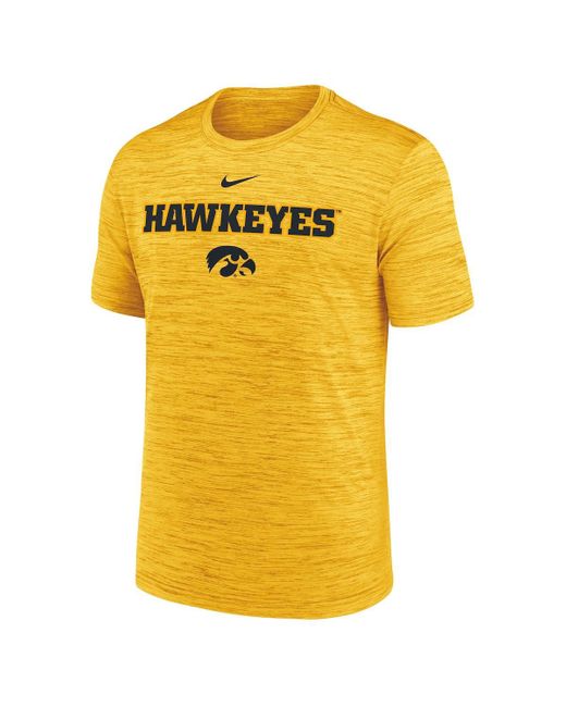 Nike Yellow Iowa Hawkeyes 2025 Sideline Velocity Performance T-shirt for men