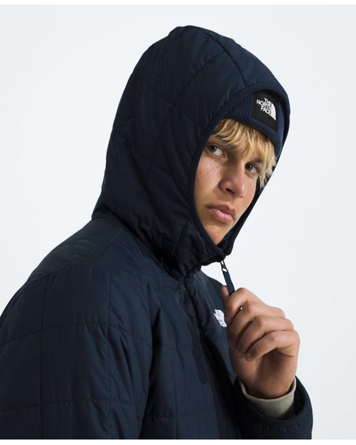 The North Face Blue Range Down Parka Jacket for men