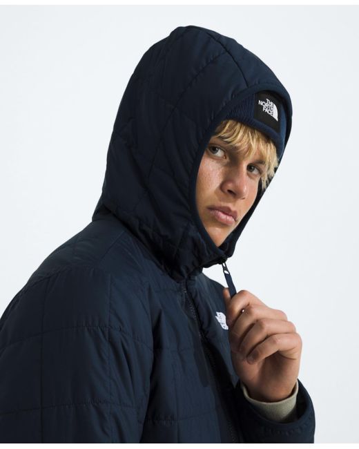 The North Face Blue Range Down Parka Jacket for men