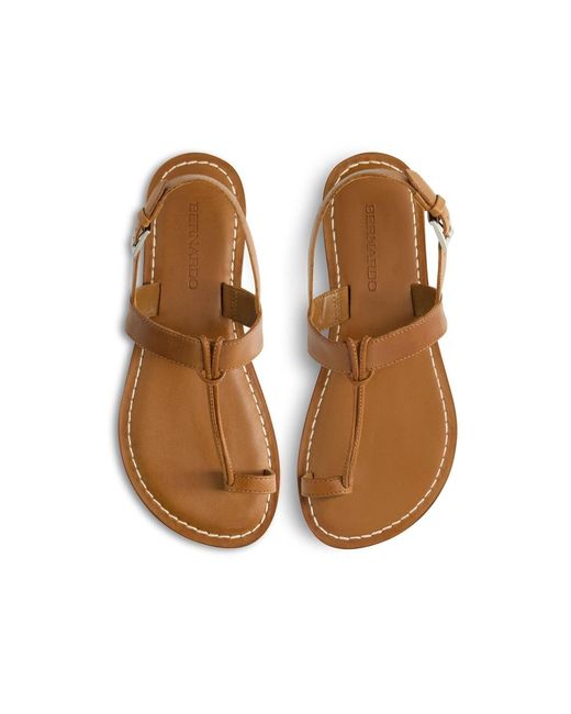Bernardo Brown Bernardo Maverick 2 Toe Ring Sandal