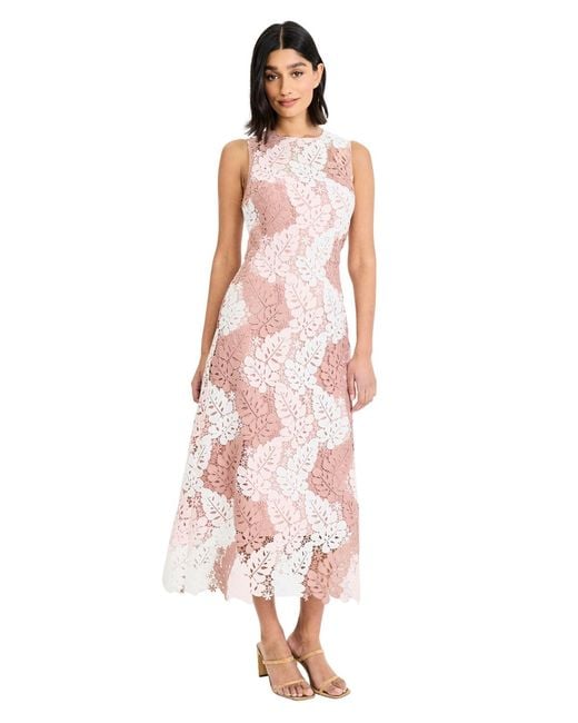 Maggy London Women's Pink Printed Lace Sleeveless Midi Dress -  www.ice4pros.com.br