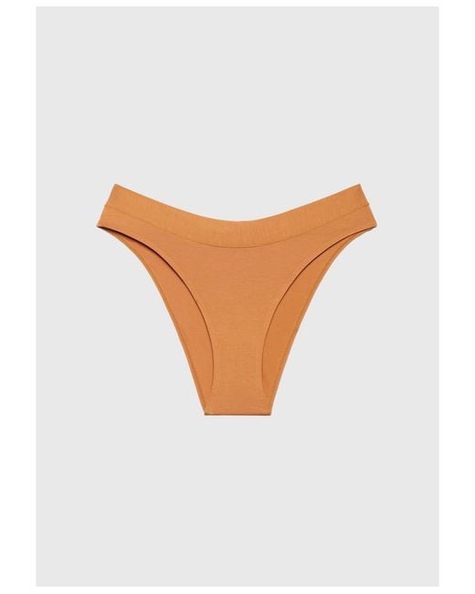 CUUP Natural Plus Size The Bikini