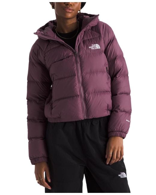 The North Face Red Hydrenalite Hooded Down Jacket