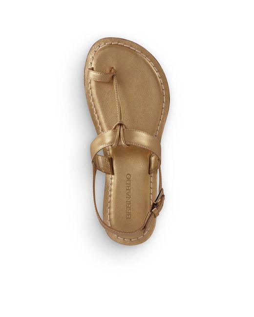 Bernardo Metallic Bernardo Maverick 2 Toe Ring Sandal