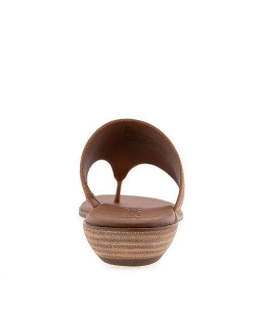 Aerosoles Brown Gesa Round Toe Thong Sandals