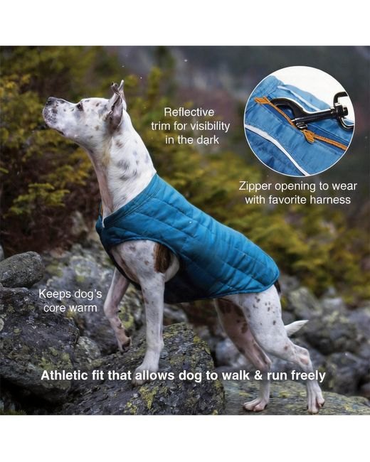 Aronkl Purple Loft Dog Jacket: Insulated