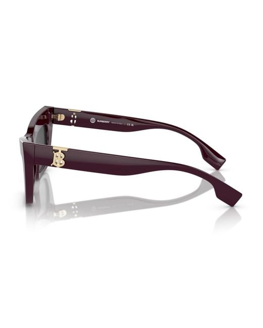 Burberry Brown Sunglasses Be4405