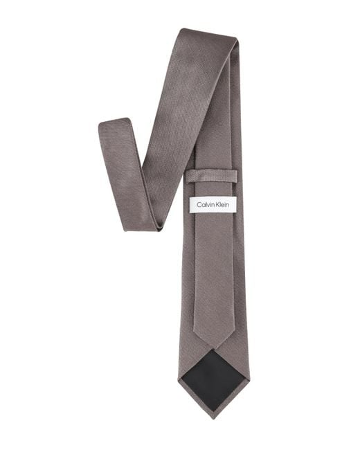 Calvin Klein Gray Silky Solid Tie for men