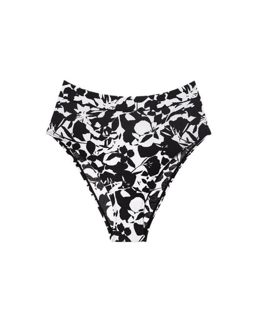 CUUP Black Plus Size The Bikini