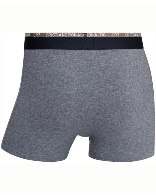 Cr7 Gray Cotton Blend Trunks for men