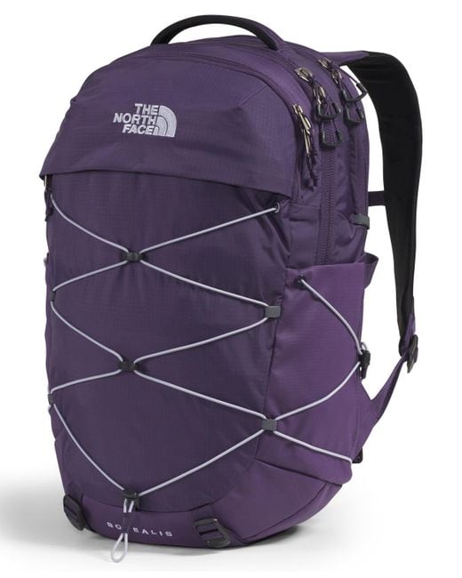 The North Face Purple Borealis Backpack