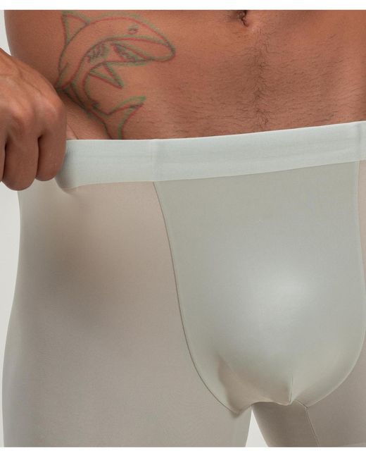 Rounderbum Gray Zero Tech Trunk for men