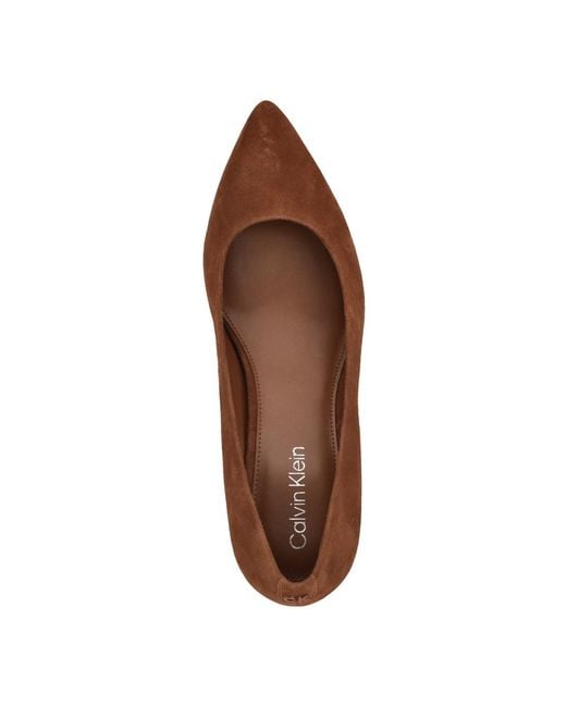 Calvin Klein Brown Lenott Pointy Toe Pumps