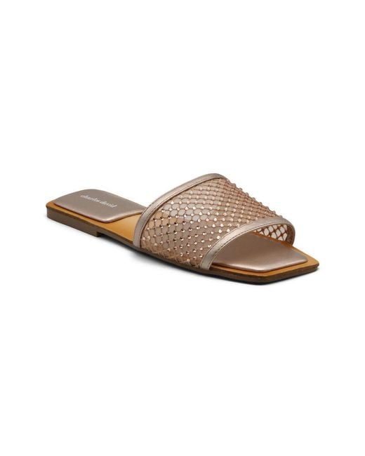 Charles David Brown Orbital Sandal Flat