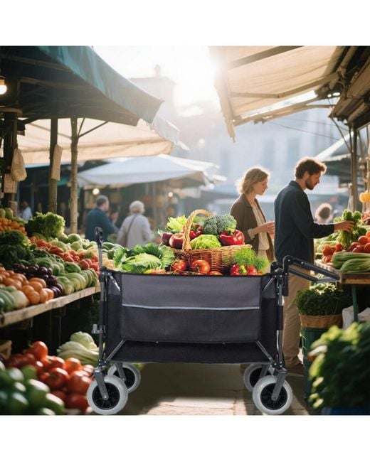 Mountaintop Black Multi-functional Push-pull Folding Wagon Cart