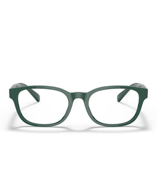 Polo Ralph Lauren Multicolor Panthos Eyeglasses for men