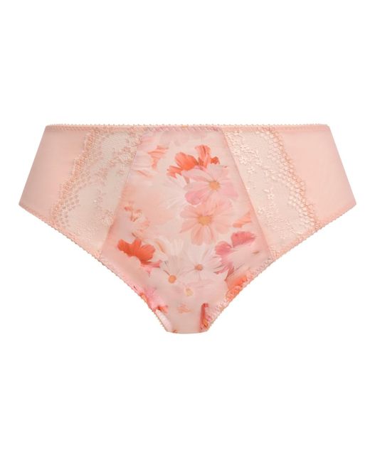Elomi Pink Plus Size Lucie High Leg Brief Underwear