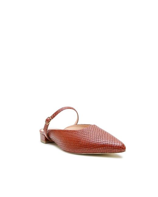 Alterre Brown twiggy Customizable Point Slide