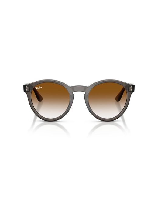 Ray-Ban Brown Round Sunglasses