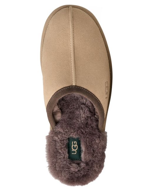 Ugg Brown Scuff Slippers for men