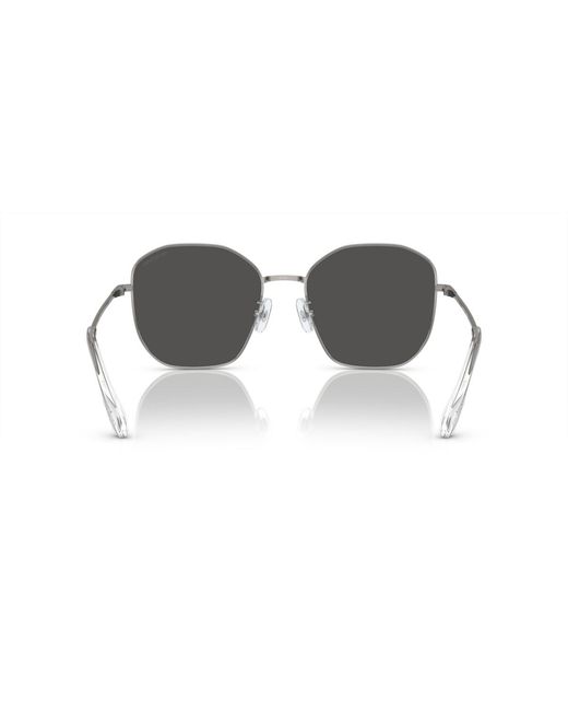 Swarovski Gray Sunglasses