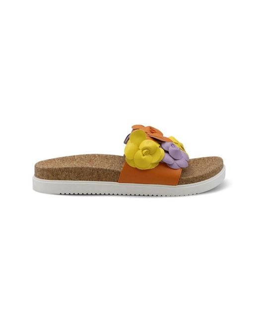 Charles David Multicolor Phoetic