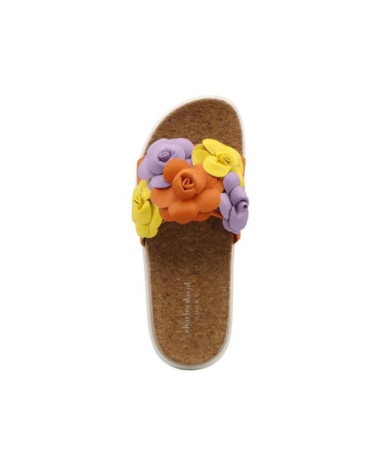 Charles David Multicolor Phoetic