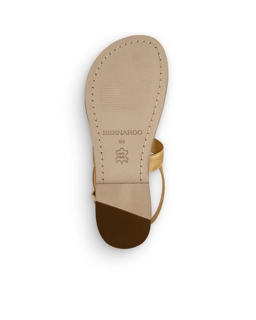 Bernardo Metallic Bernardo Maverick 2 Toe Ring Sandal
